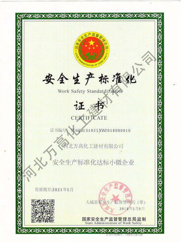 資質(zhì)榮譽 (9)